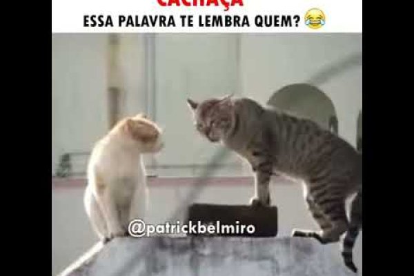 Кракен ссылка что это
