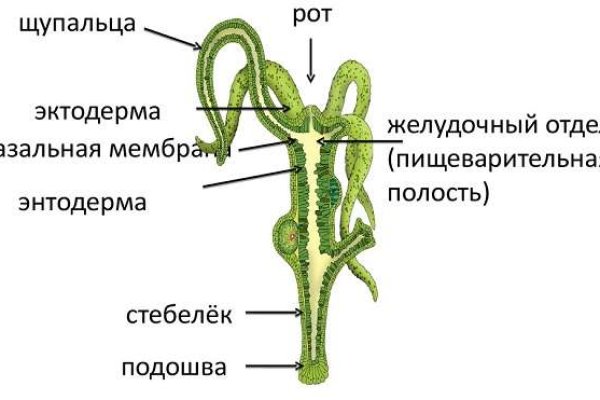 Кракен магазин kraken clear com