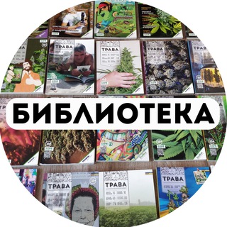 Kraken что это такое