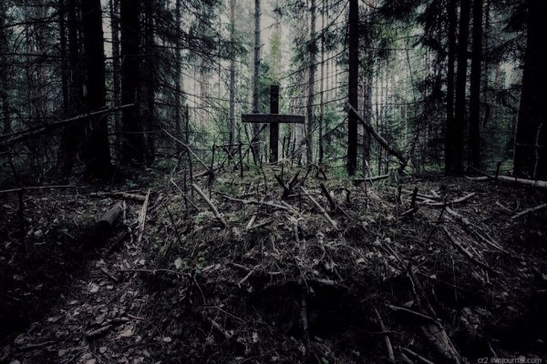 Кракен современный даркнет маркетплейс