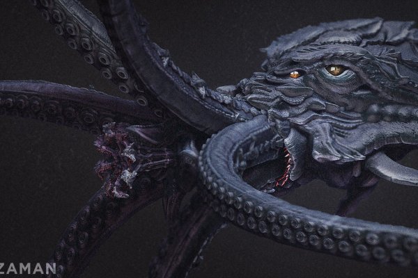 Kraken kraken dark link