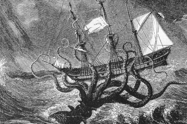 Ссылка на kraken at