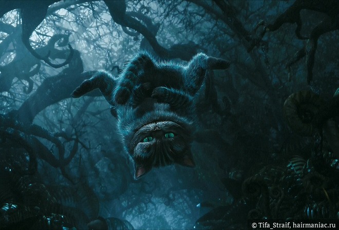 Kraken площадка