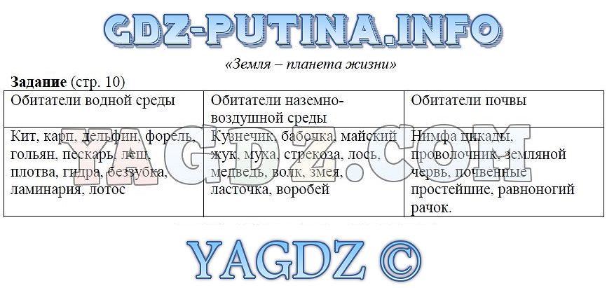 Как войти в даркнет