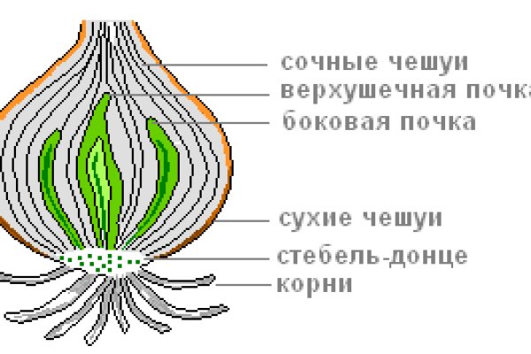 Кракен даркнет
