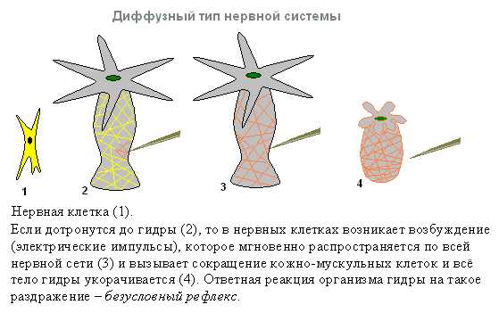 Кракен зеркало на тор